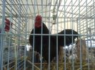 20140421_114908