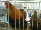 20140421_120124