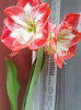 IMG_20140418_122423