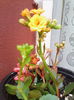 IMG_20140418_123926