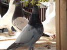 DSCF4762