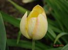DSC02047