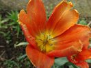 DSC02036