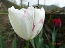 DSC02032