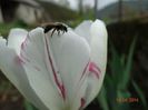 DSC02033