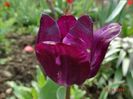 DSC02022