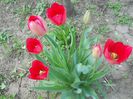 DSCN7618