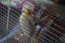 SAM_2374