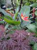 20140424_110546