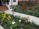 gradina 23 aprilie