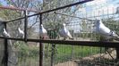 20140421_115928