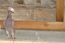 DSC02080