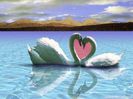 drashtidrash