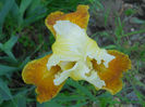 DSCN1334_002