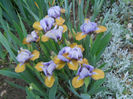 DSCN1339_007