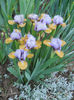 DSCN1340_008