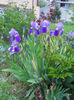 DSCN1342_010