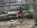 DSC02598