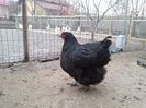 20140227_162415