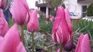 20140417_193331