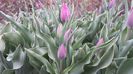 20140405_111434