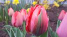 20140405_111640