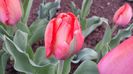 20140405_111703