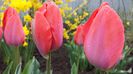 20140412_144459