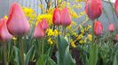 20140412_144515