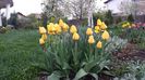 20140417_193211