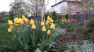 20140417_193215