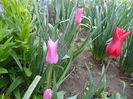 DSC06290