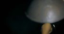 bandicam 2014-04-25 12-48-40-515