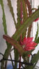 WP_20140420_006