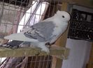 IMG-20140425-00220