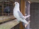 IMG-20140425-00216
