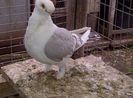 IMG-20140425-00194