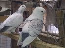 IMG-20140425-00188