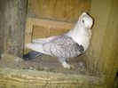 IMG-20140408-00174