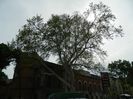 DSCN7158