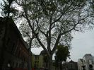DSCN7161