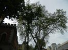 DSCN7162