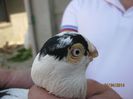 IMG_4741
