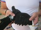 IMG_4751
