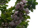 DSCN7172