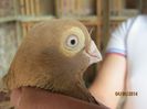 IMG_4886