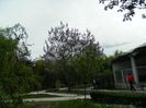 DSCN7188