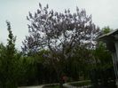 DSCN7189
