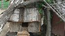 20140423_162303