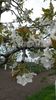 20140422_164605